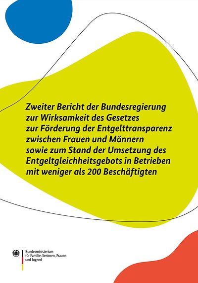 Titelseite des Berichts mit dem Berichtstitel und dem Logo des BMFSFJ